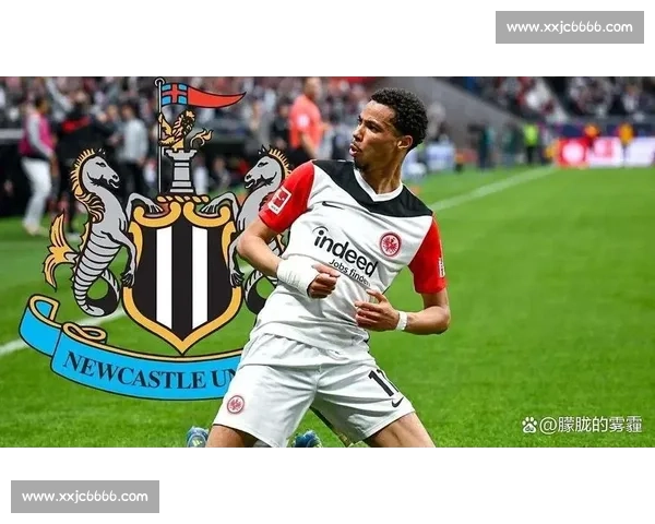 罗马诺确认：图卢兹任命贝扎尼为临时体育总监，红鸟集团力挽核心高管